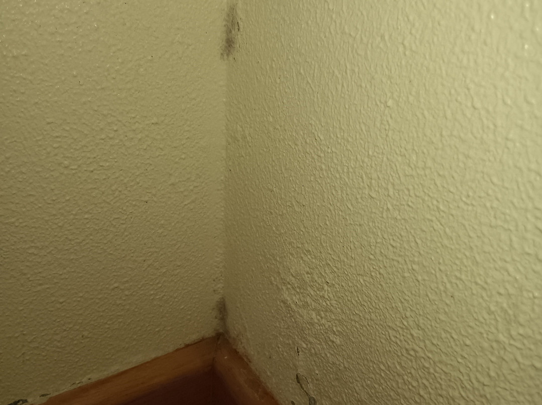 Hostal la Cruz主图