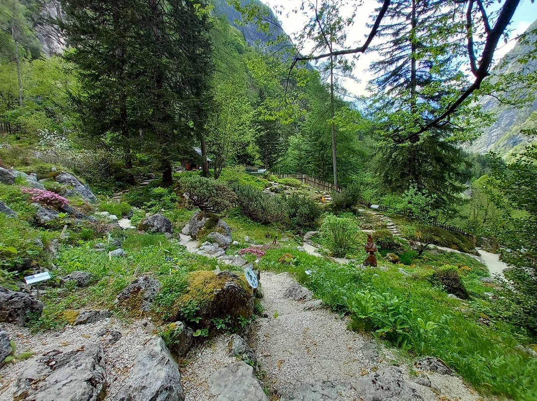 Alpine Botanical Garden Juliana-Trenta必去景点