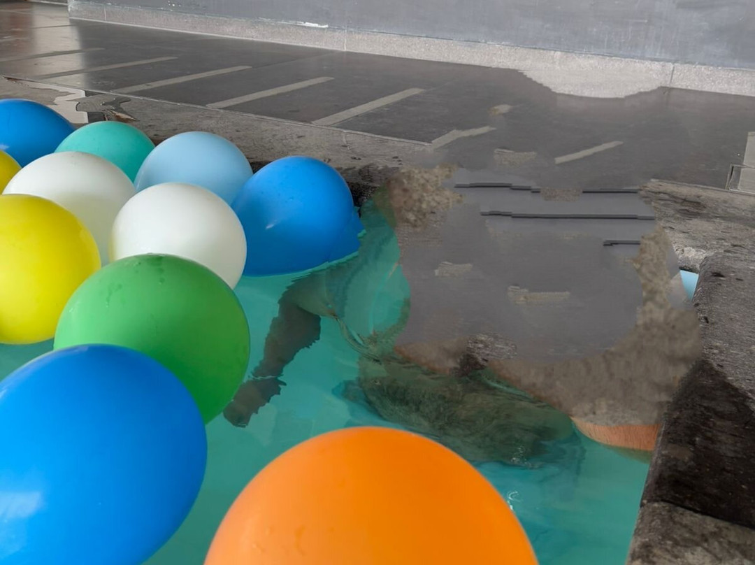 Ramada Encore By Wyndham Guadalajara Aeropuerto主图