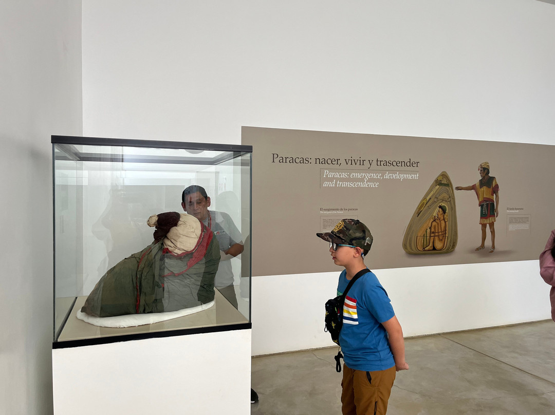 Museo De Sitio Julio C Tello De Paracas-帕拉卡斯必去景点