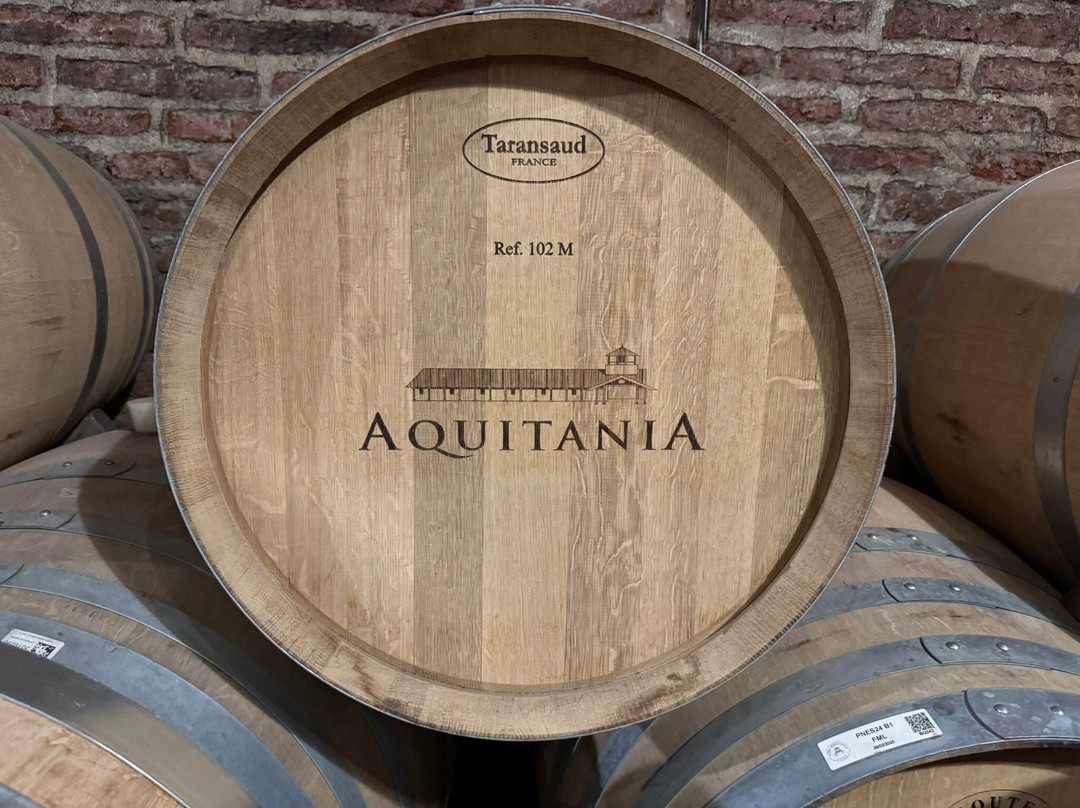 Vina Aquitania景点图片