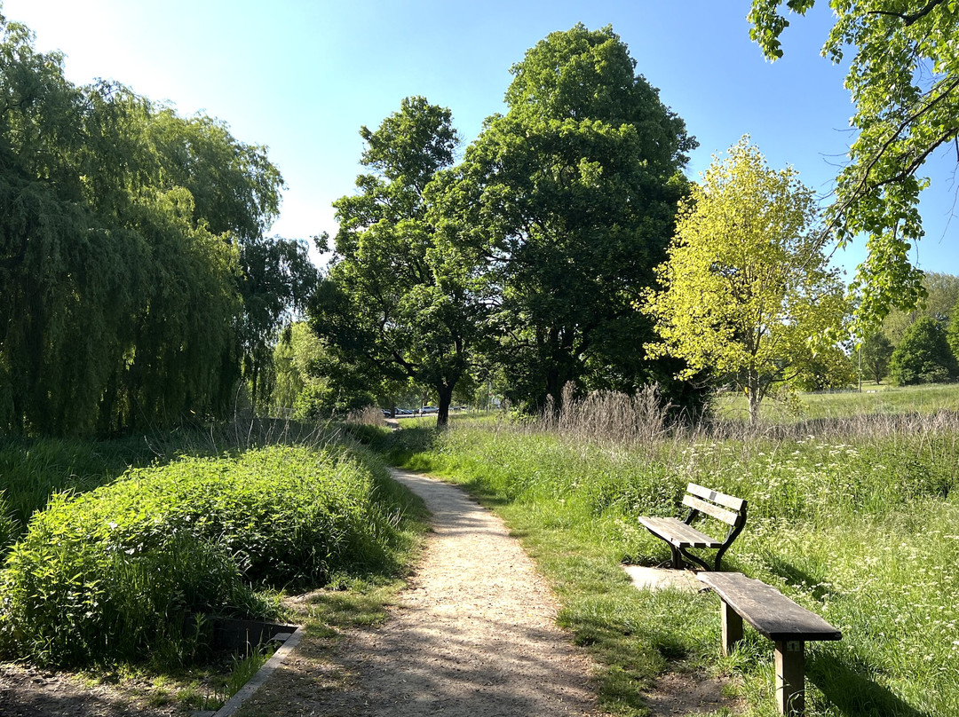 Gadebridge Park景点图片