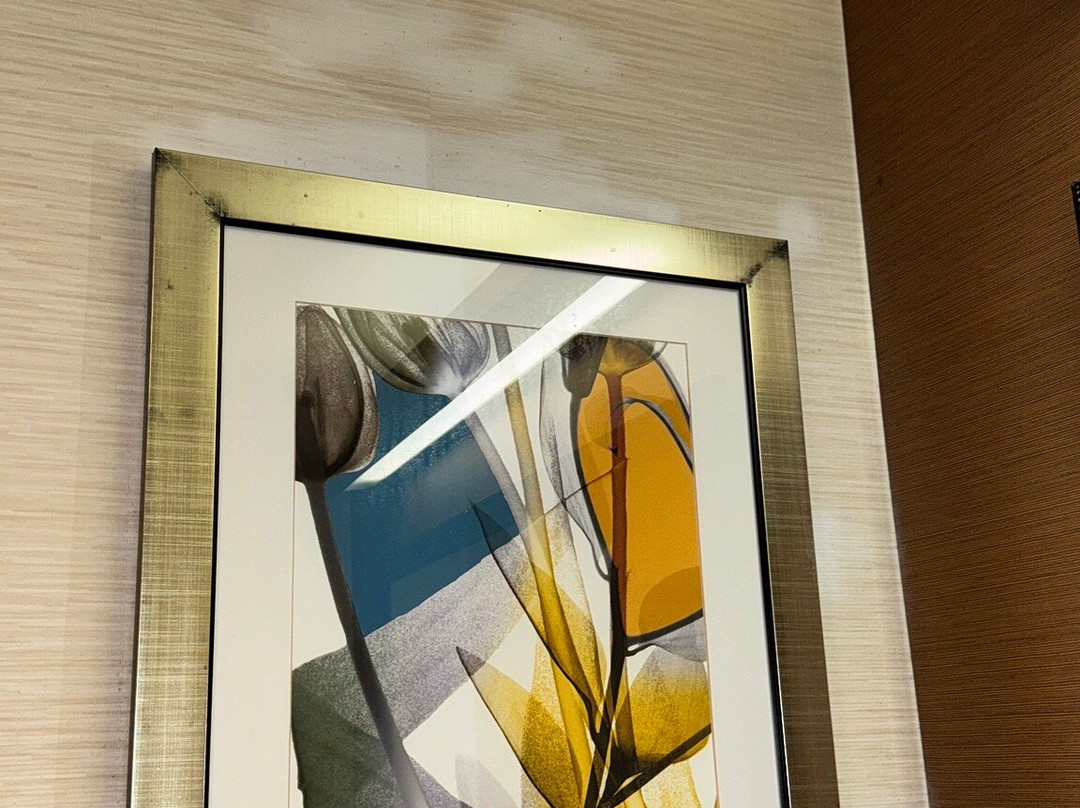 Fairfield by Marriott Inn & Suites Fairfield Napa Valley Area主图