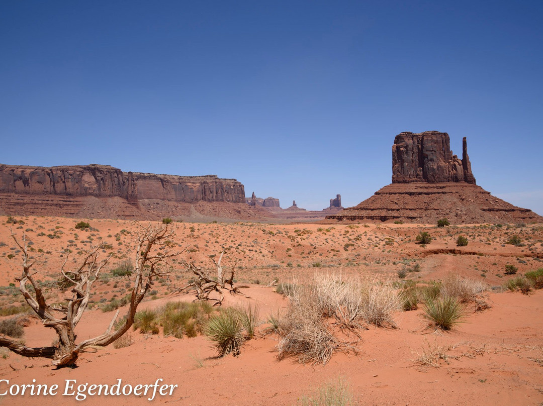 Valley View Tours-纪念碑公园必去景点