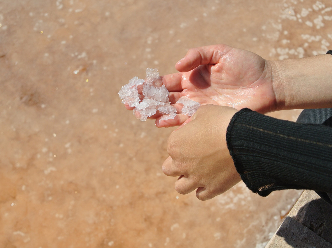 Sal de Menorca - Salinas de La Concepción
