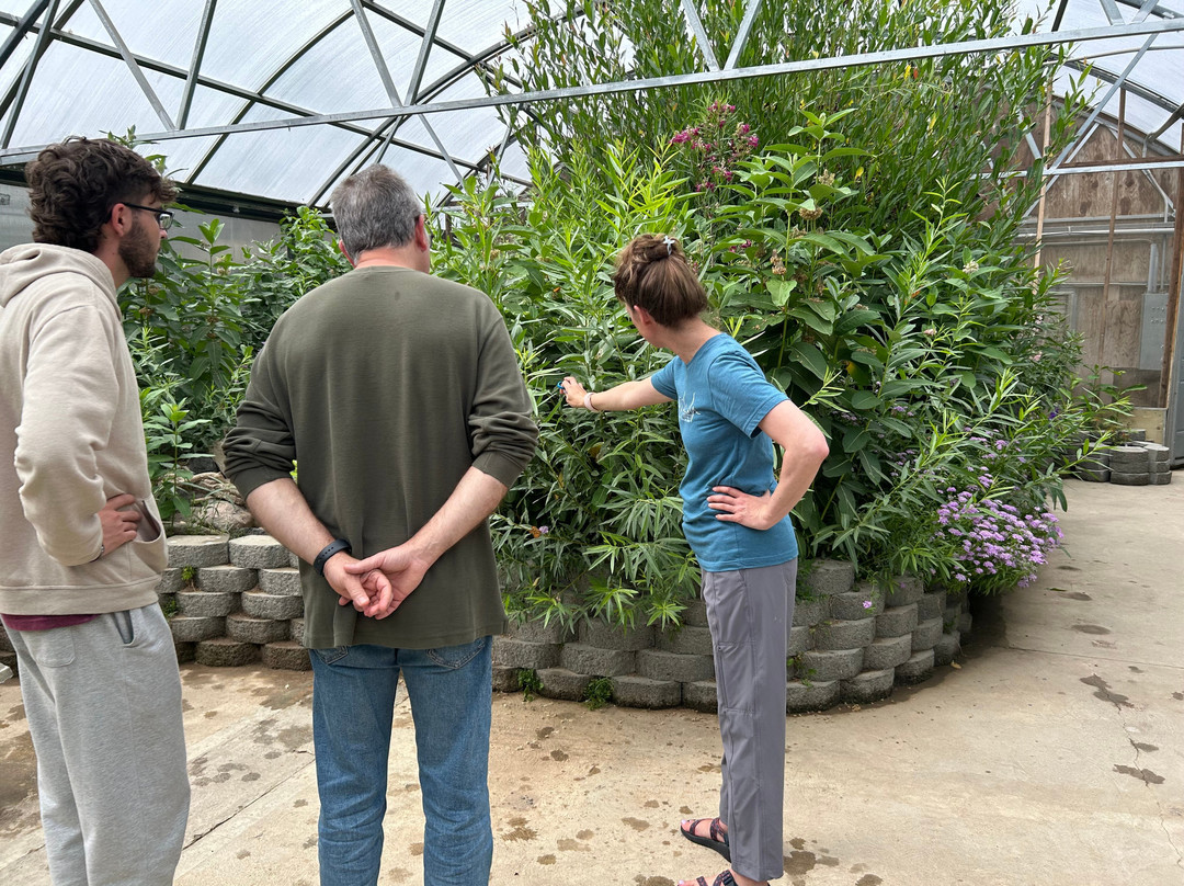The Butterfly Haven-Pingree必去景点