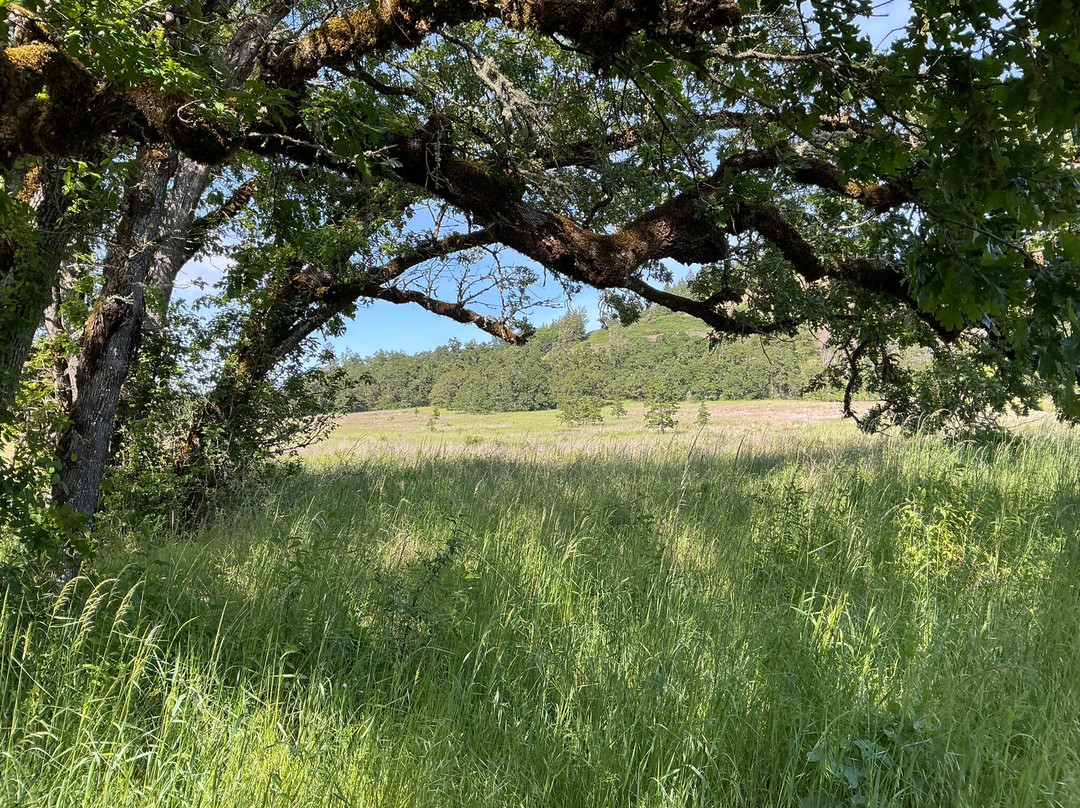 Dorris Ranch-斯普林菲尔德必去景点