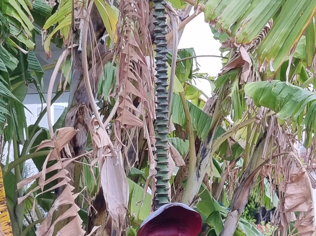 阿吉斯缇斯酒店主图