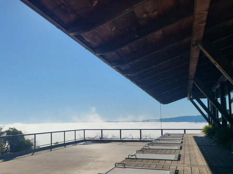 Nor Cal Car Service-纳帕必去景点