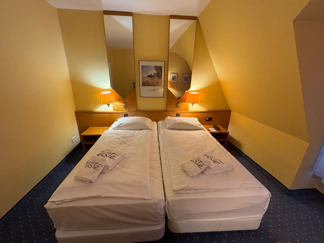 Oderwitz酒店住宿-Taste Hotel Dresden