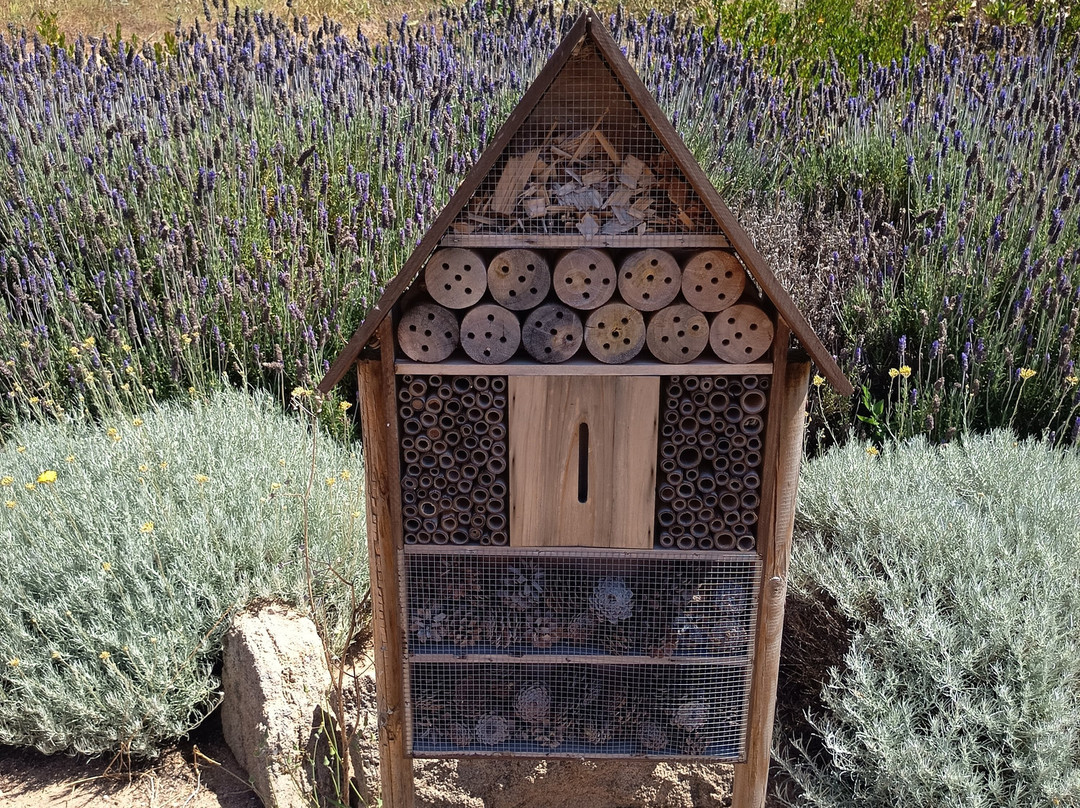 Bee Garden Alghero-阿尔盖罗必去景点