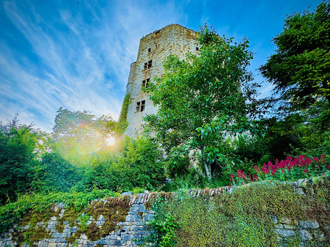 Chateau de Chaudenay-le-Château