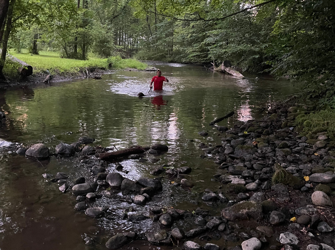 Glenwood Inn - Stroudsburg主图