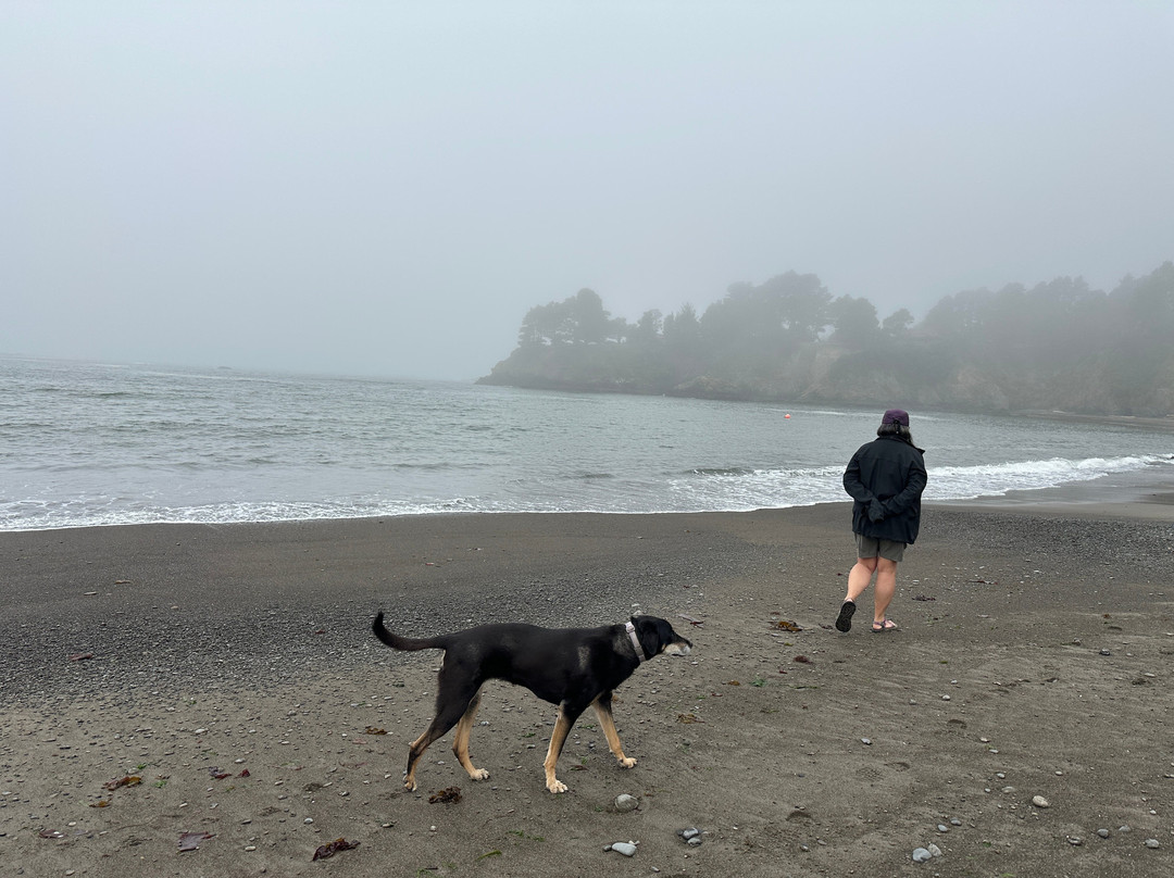 Inn at Schoolhouse Creek主图