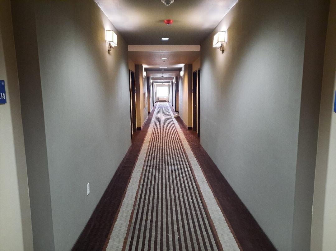 Holiday Inn Express & Suites Globe By IHG主图