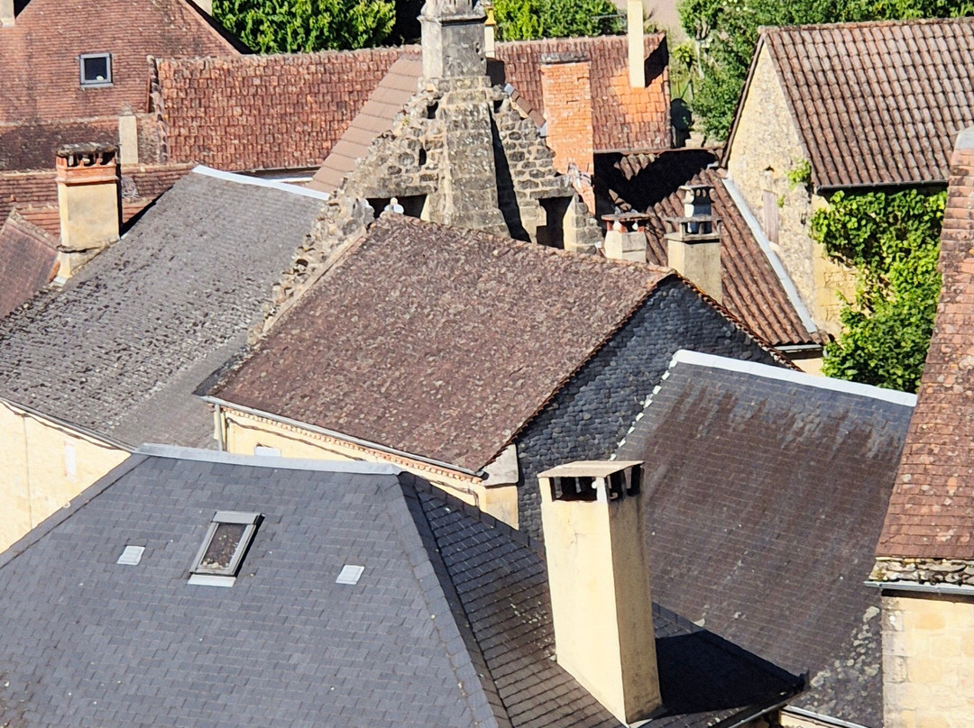 Chateau de Carlux景点图片