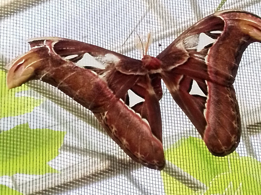 Le Carbet Amazonien-Velleron必去景点