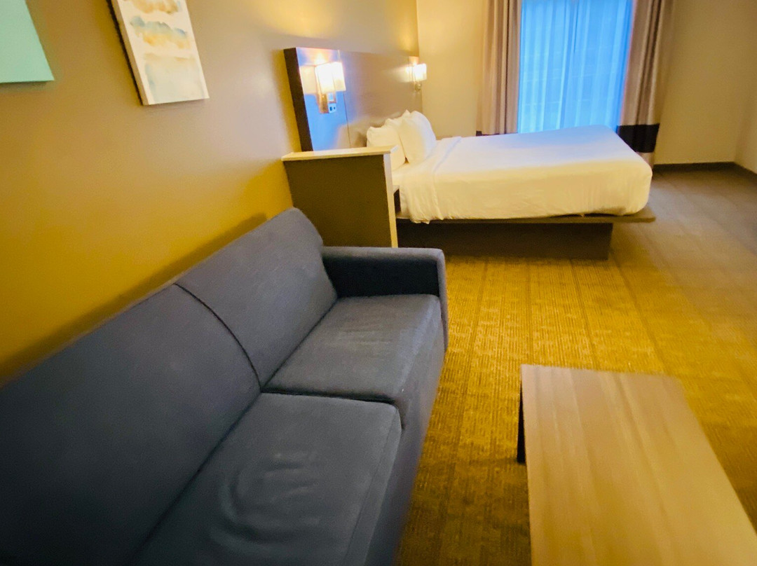 Comfort Inn & Suites主图