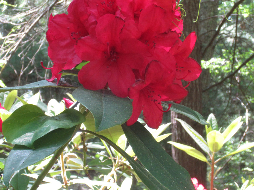 Armstrong-Kelley Park-Osterville必去景点