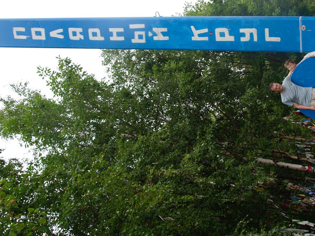 Stella Polar Circle景点图片