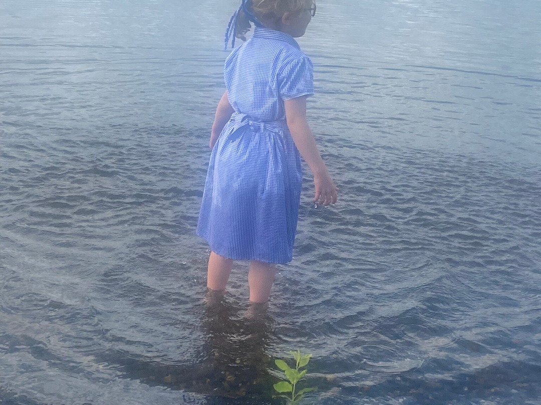 Chasewater Country Park-Burntwood必去景点