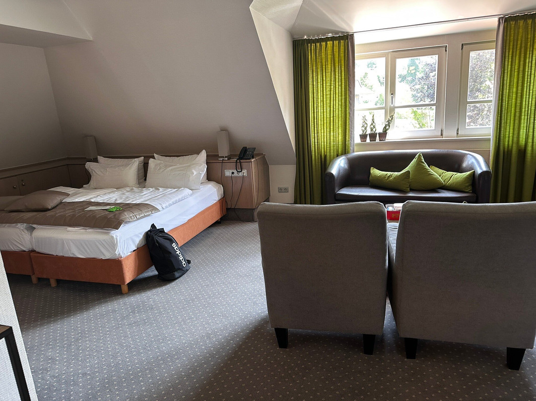 Romantisches Hotel Menzhausen主图