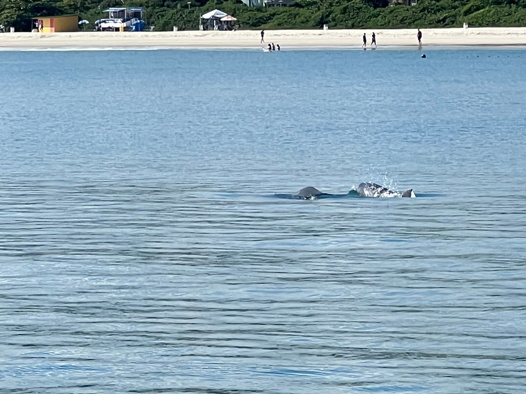 Vou de Lancha-弗洛里亚诺波利斯必去景点