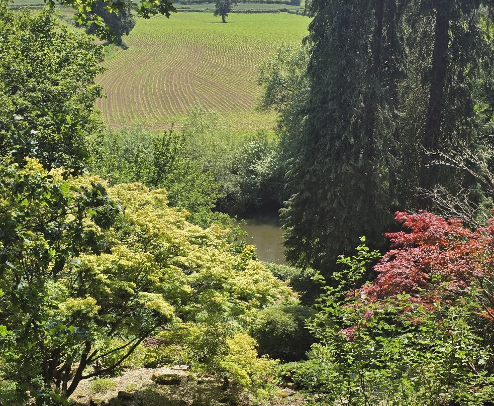 The Weir Garden景点图片