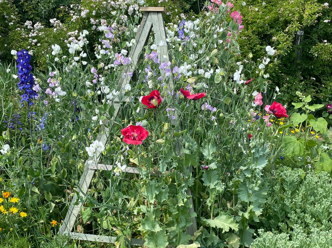 The Manor House-Upton Grey必去景点