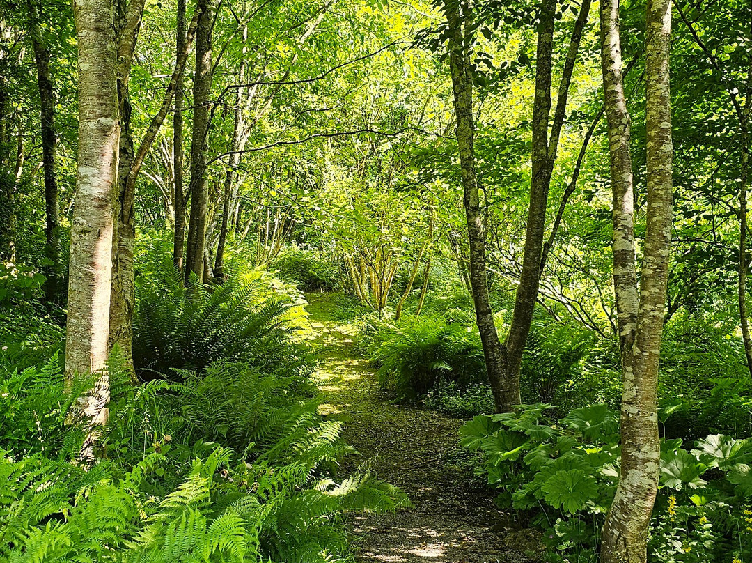 Stone Lane Gardens-Chagford必去景点