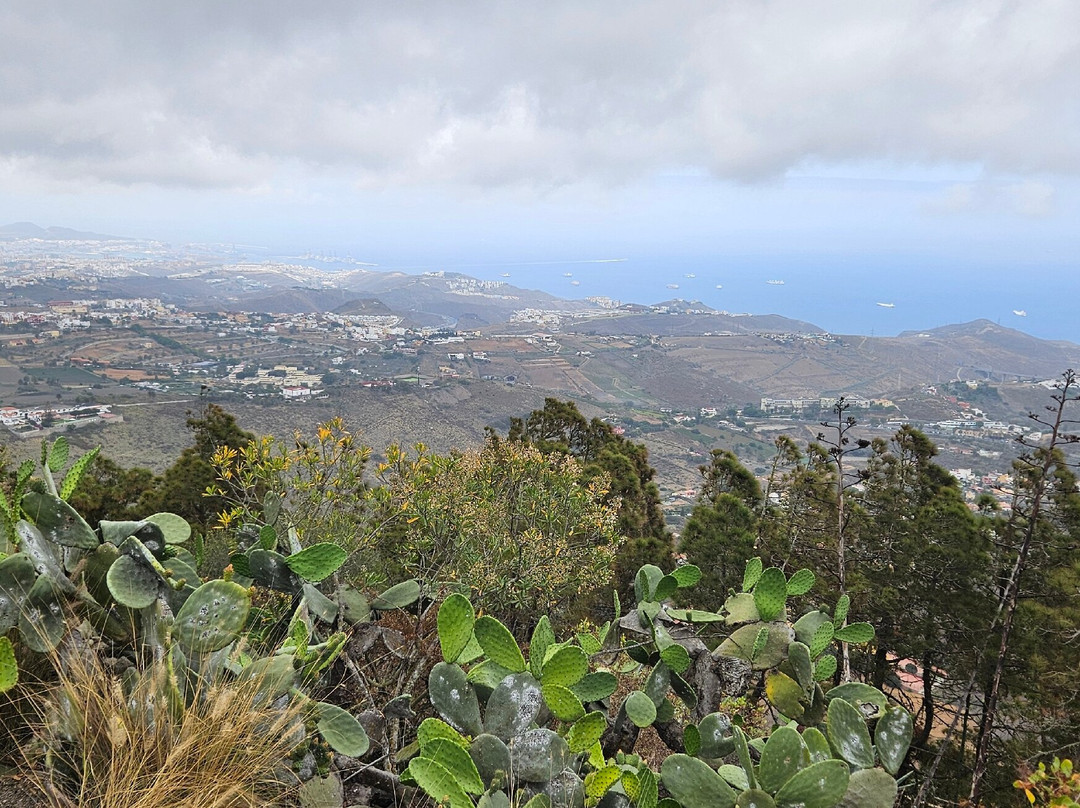 Mirador Pico de Bandama景点图片