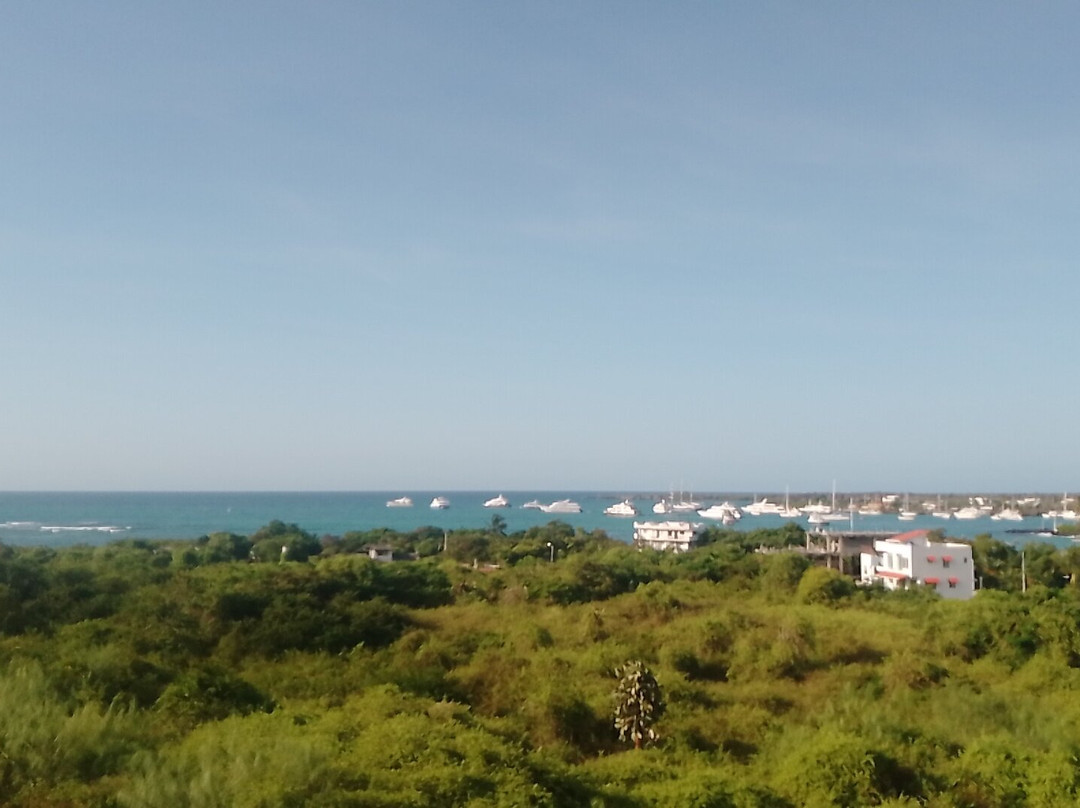 Charles Darwin Research Station-阿约拉港必去景点