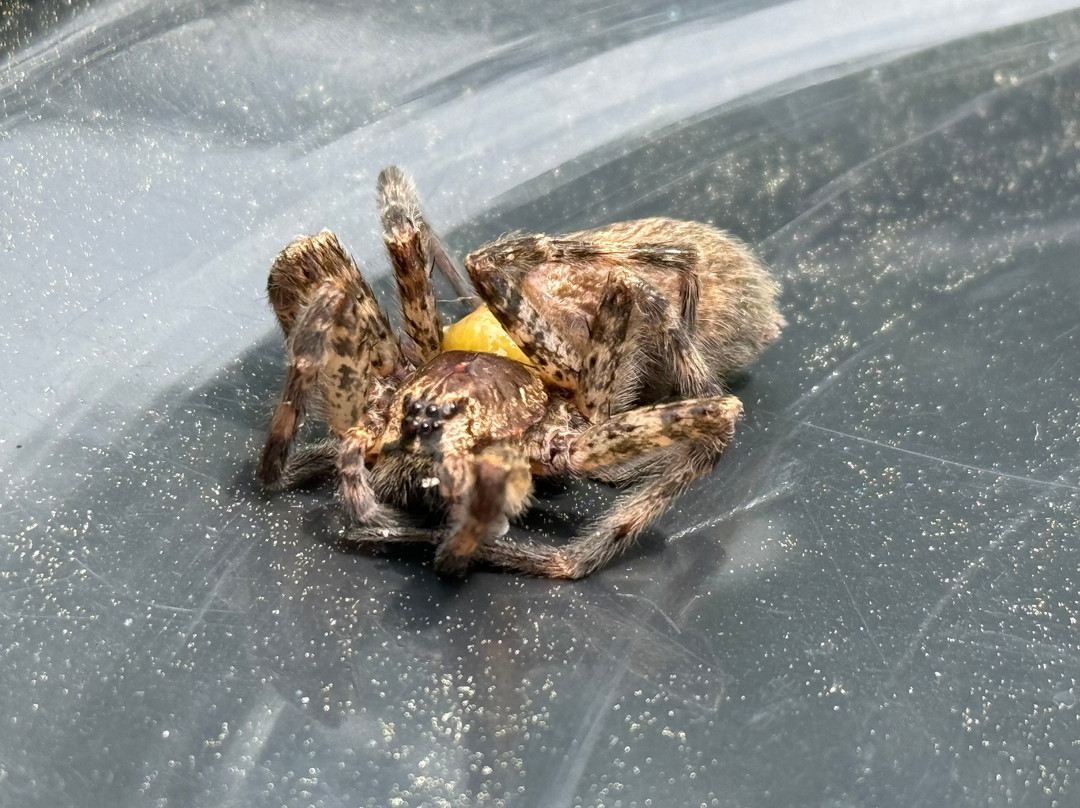 Algonac State Park-Marine City必去景点