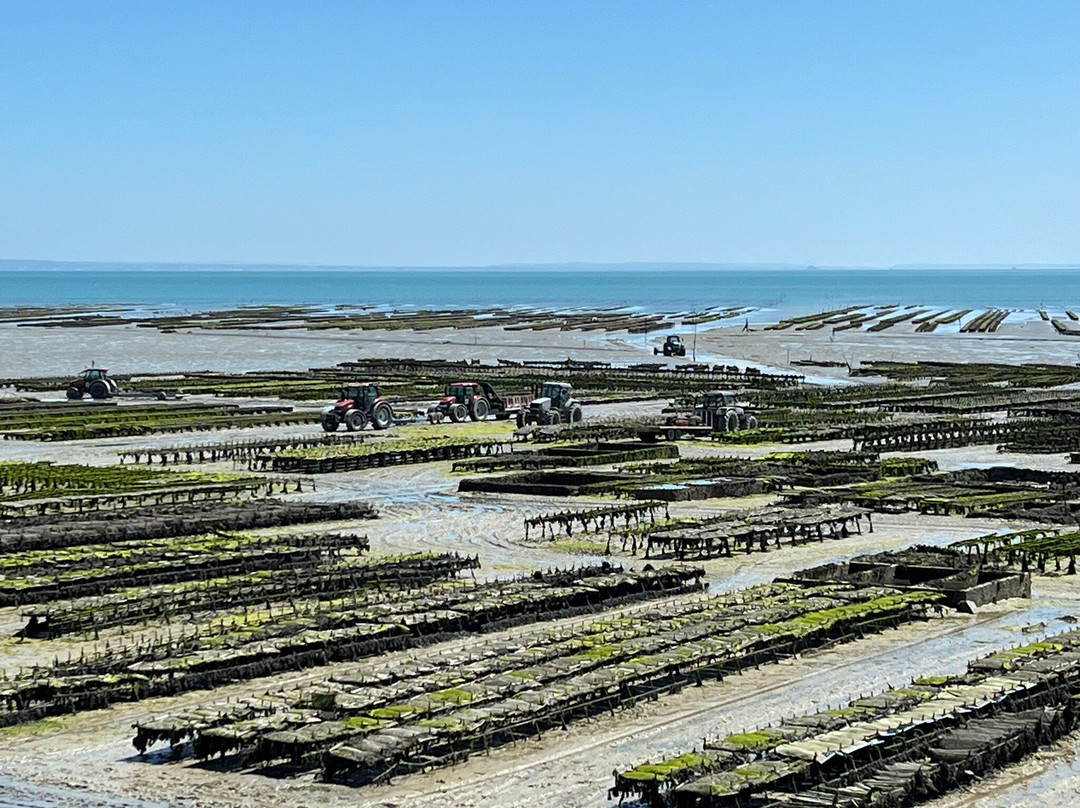 Port de le Houle-康卡勒必去景点
