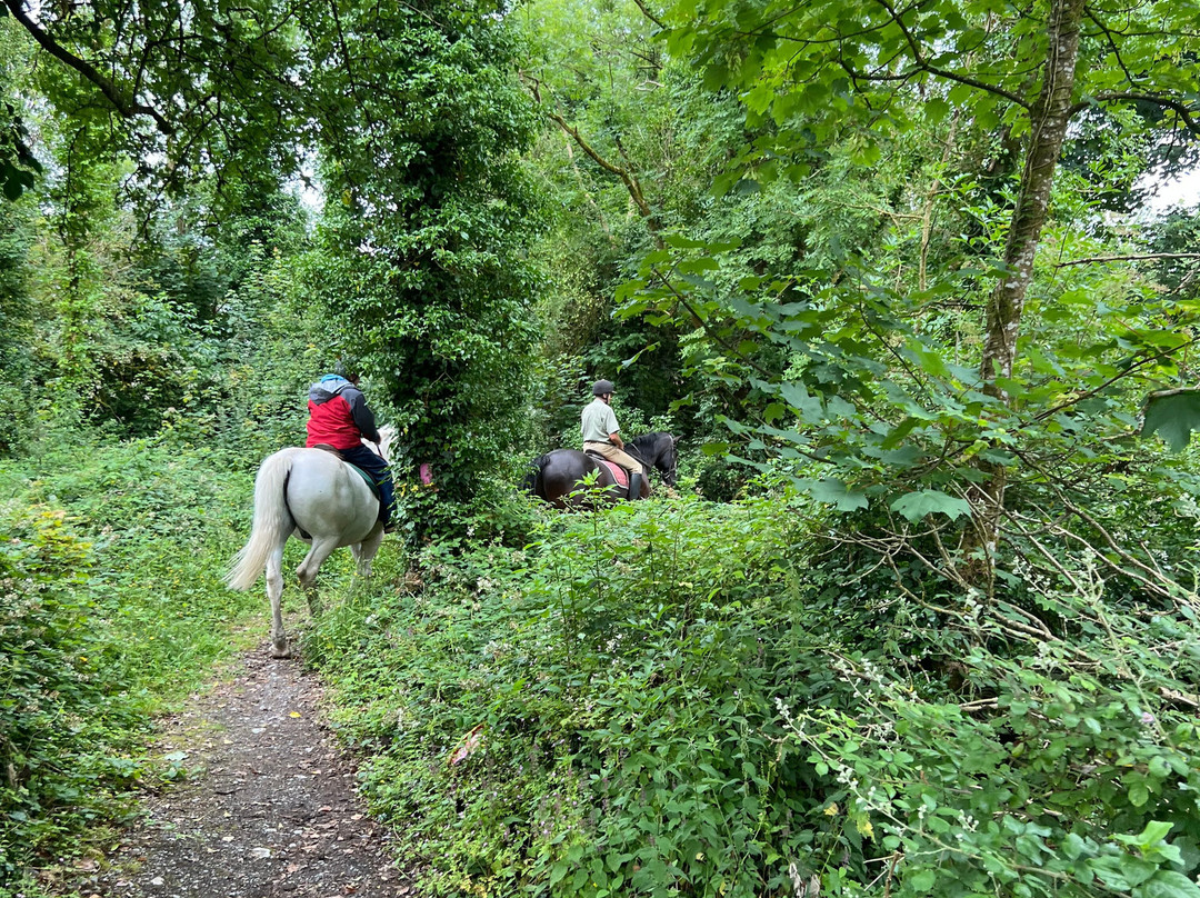 Castlefergus Equestrian-Quin必去景点