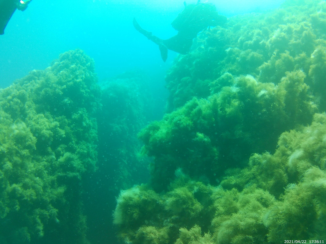 Evasioni Blu Diving Ustica-Ustica必去景点