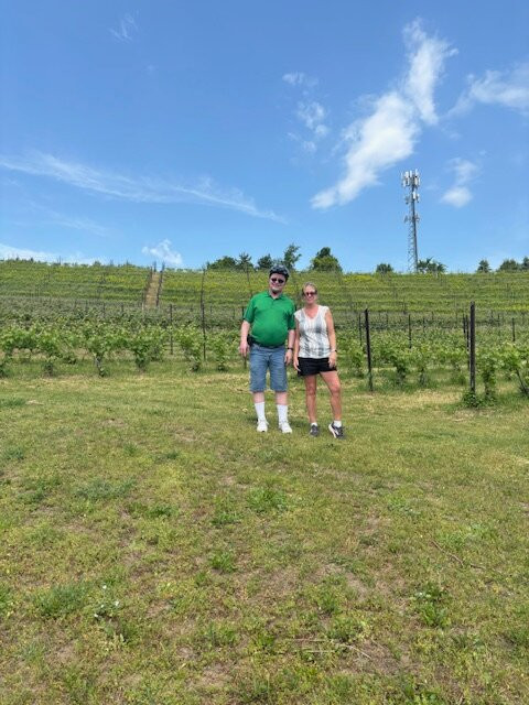 Grand Traverse Bike Tours-Suttons Bay必去景点