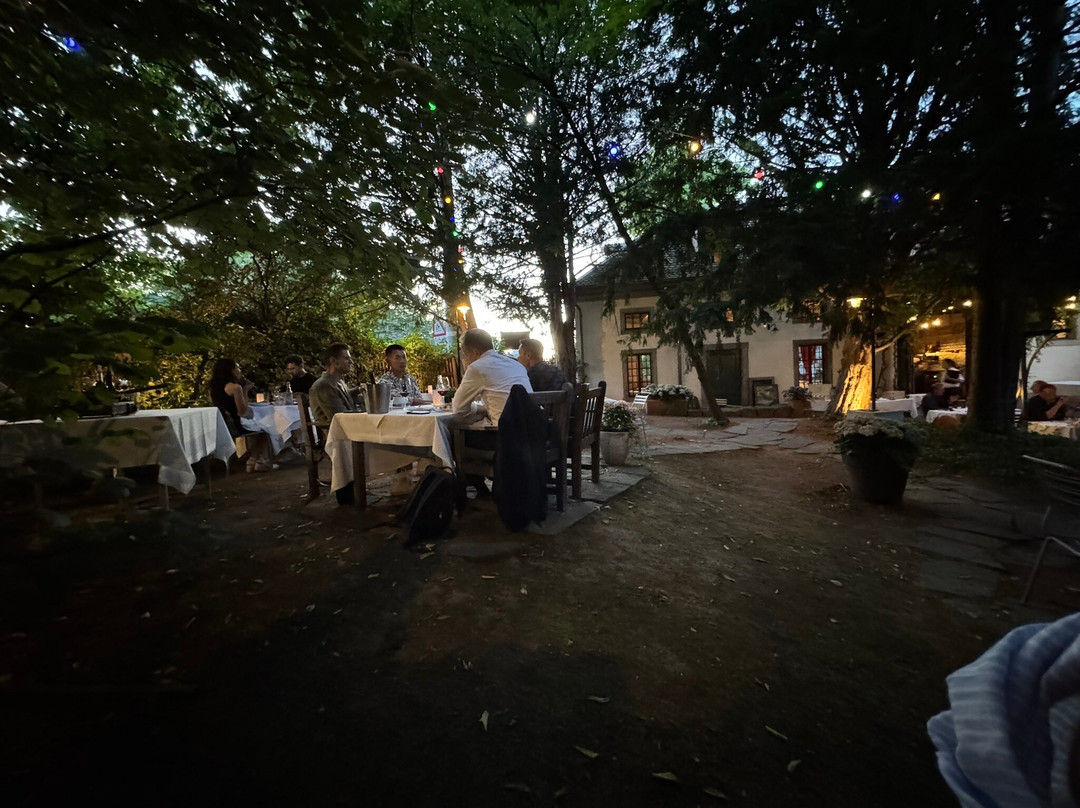 Chiffon - Restaurant Bar