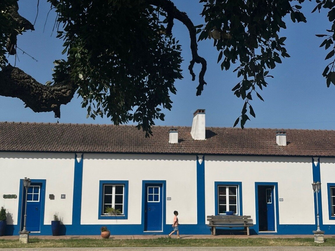 Monte das Faias主图