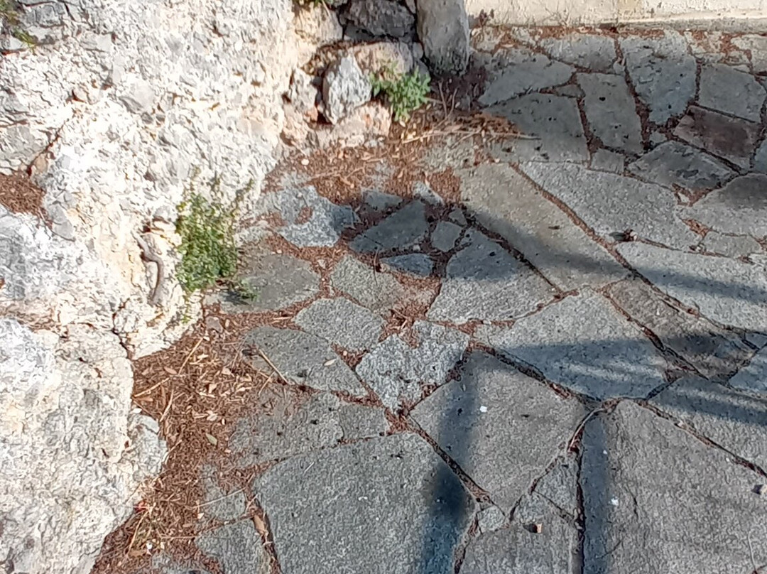 贝斯特韦斯特阿瓜诺维拉酒店主图