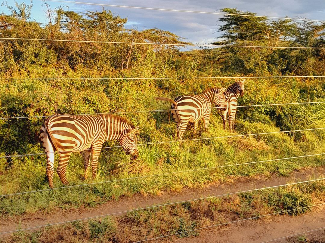 Sote Tours & Travel-莫西必去景点