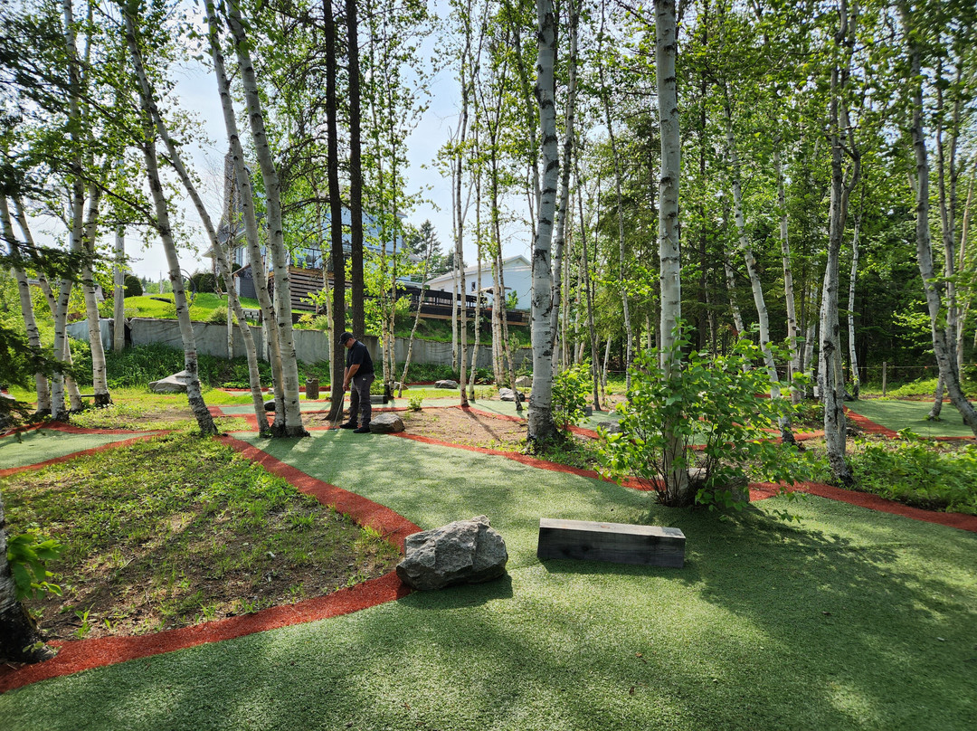 Mini-Putt & Musée d'animaux naturalisés-Saint-Simeon必去景点