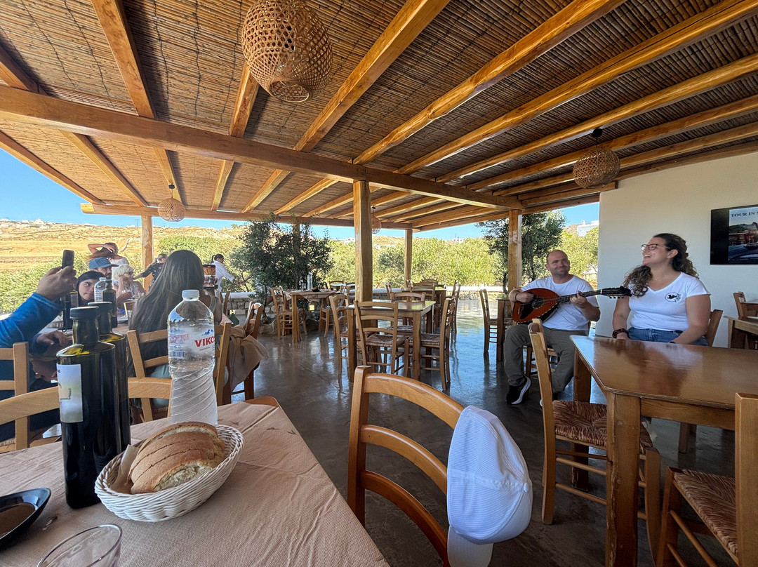 Tour In Mykonian Land & Wine Tasting-Marathi必去景点