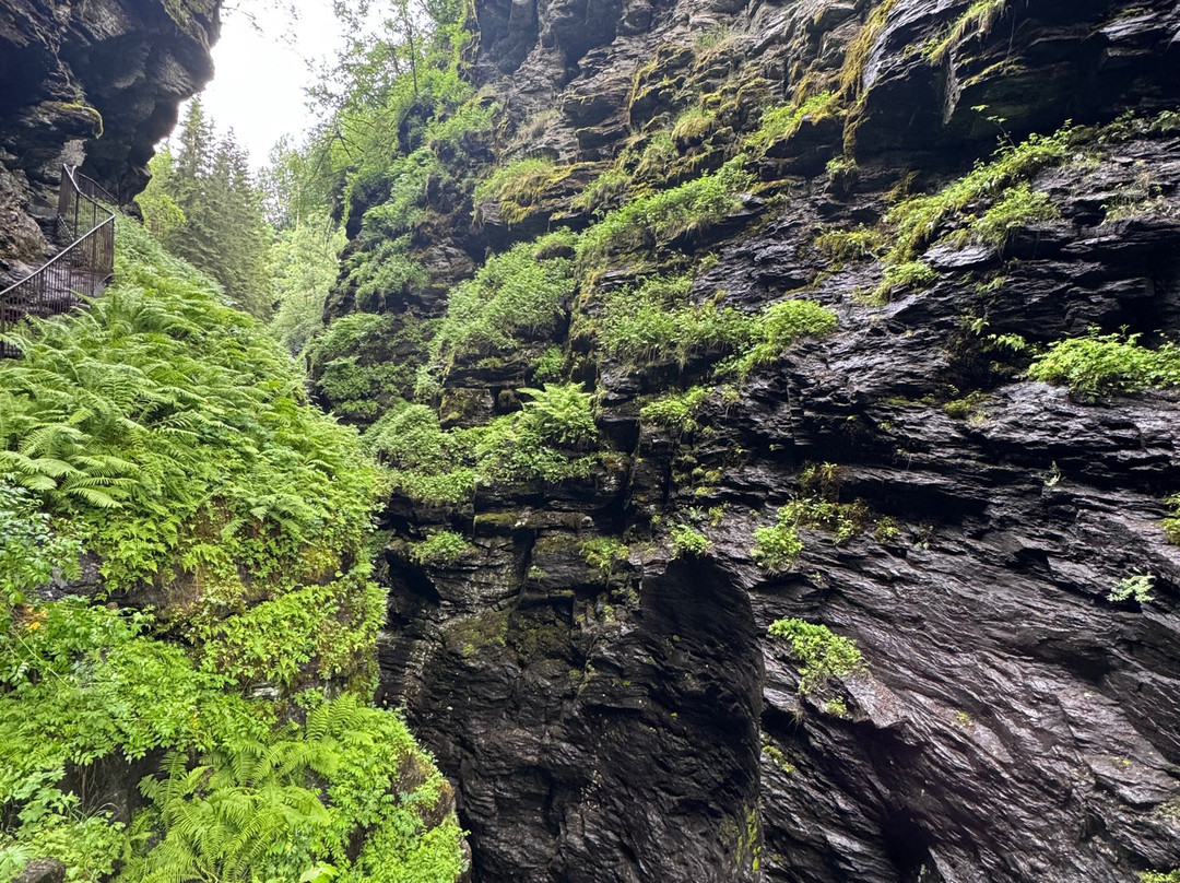 Bordalsgjelet Gorge-沃斯市必去景点