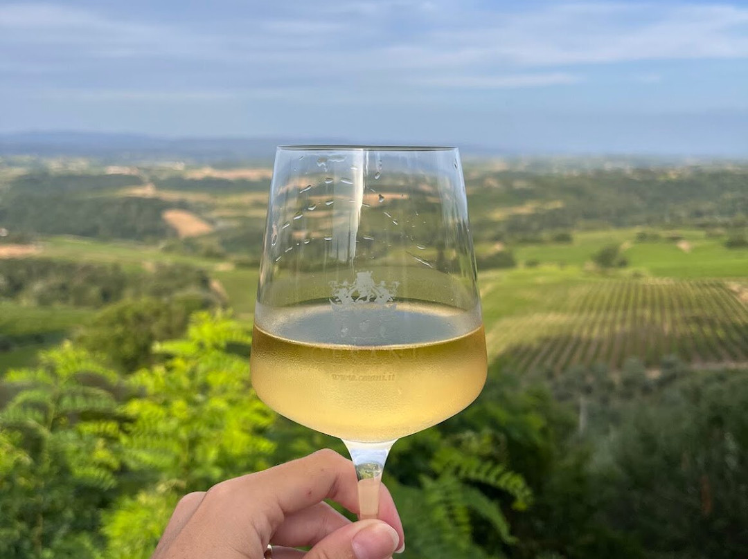 Agriturismo Cesani-圣吉米尼亚诺必去景点