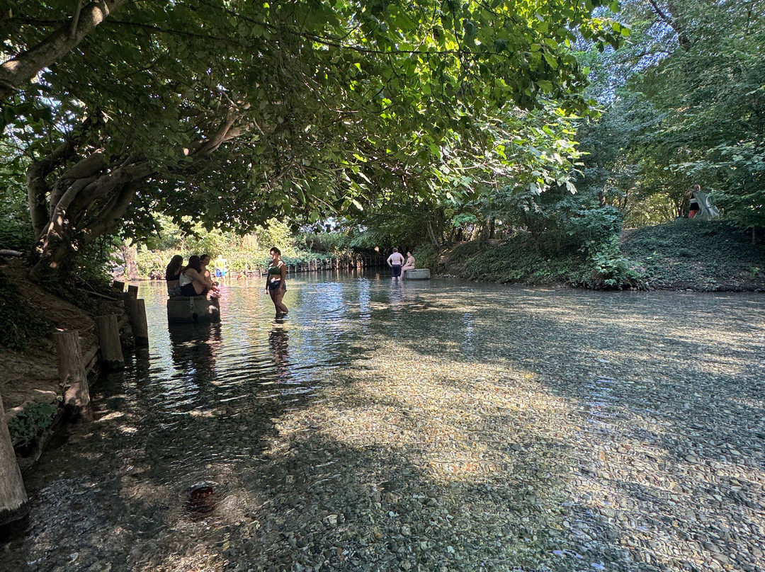 Fontanile Quarantina-Capralba必去景点