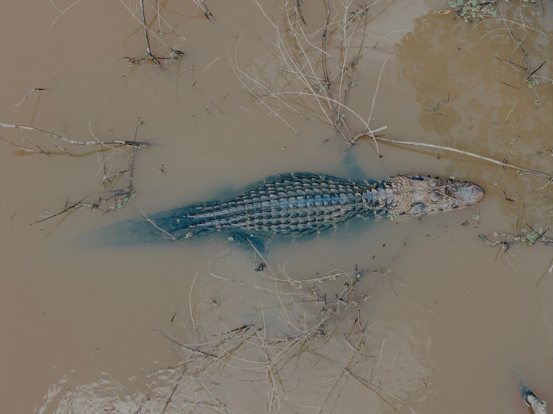 Indigena Tours-Rurrenabaque必去景点