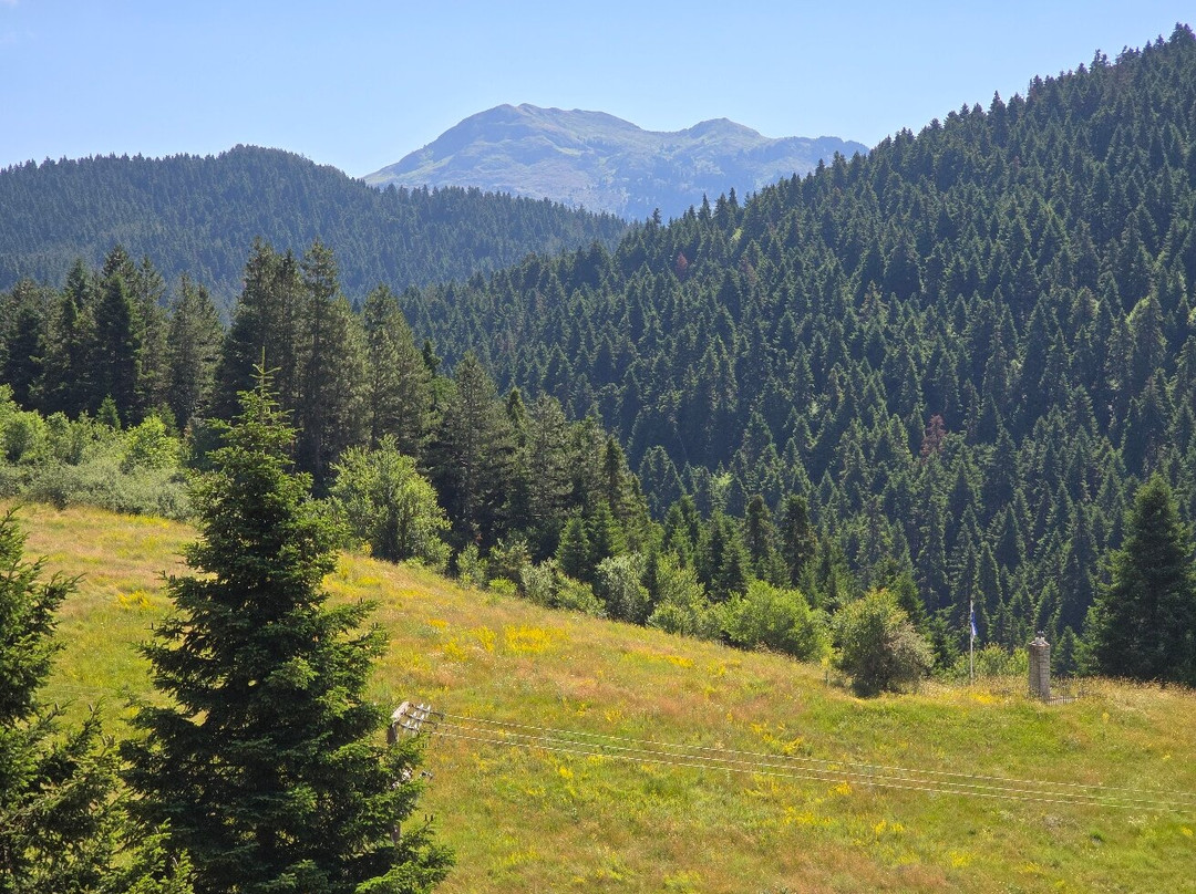 The Chatzigakis Manor主图