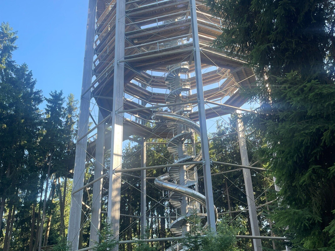 Treetop Walkway-利诺纳佛塔沃必去景点