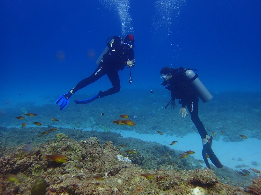 Just Diving-Bain Boeuf必去景点